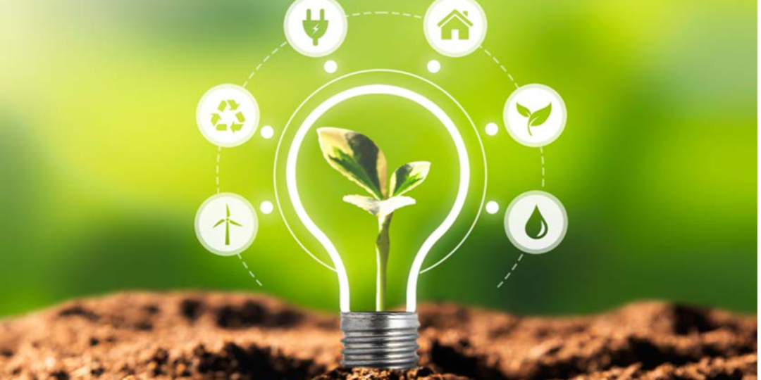 Animated light bulb coming out the ground