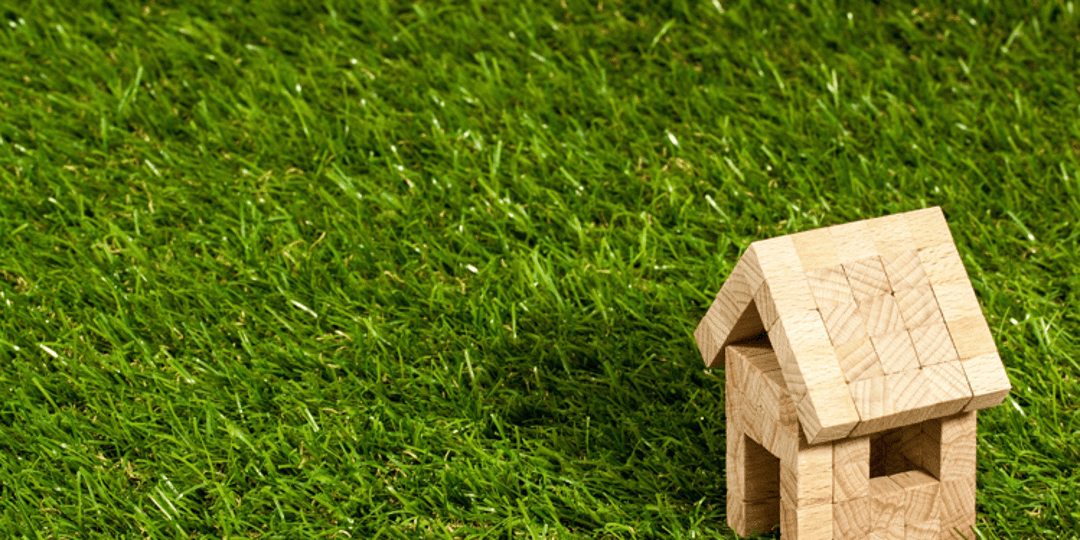 House on green grass