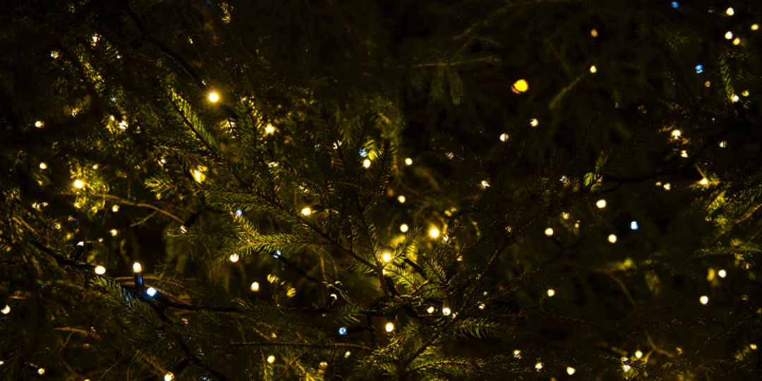 LED Christmas Tree Lights