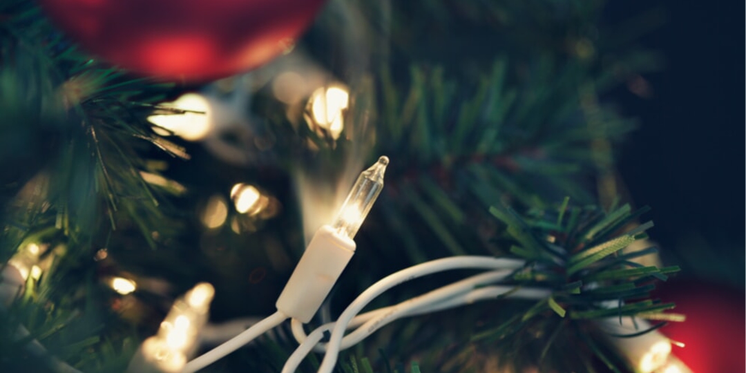 A photo of Christmas tree lights