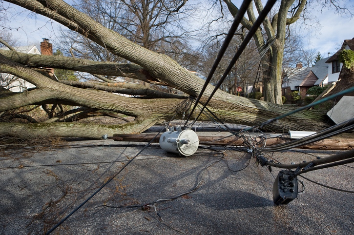 Downed power lines