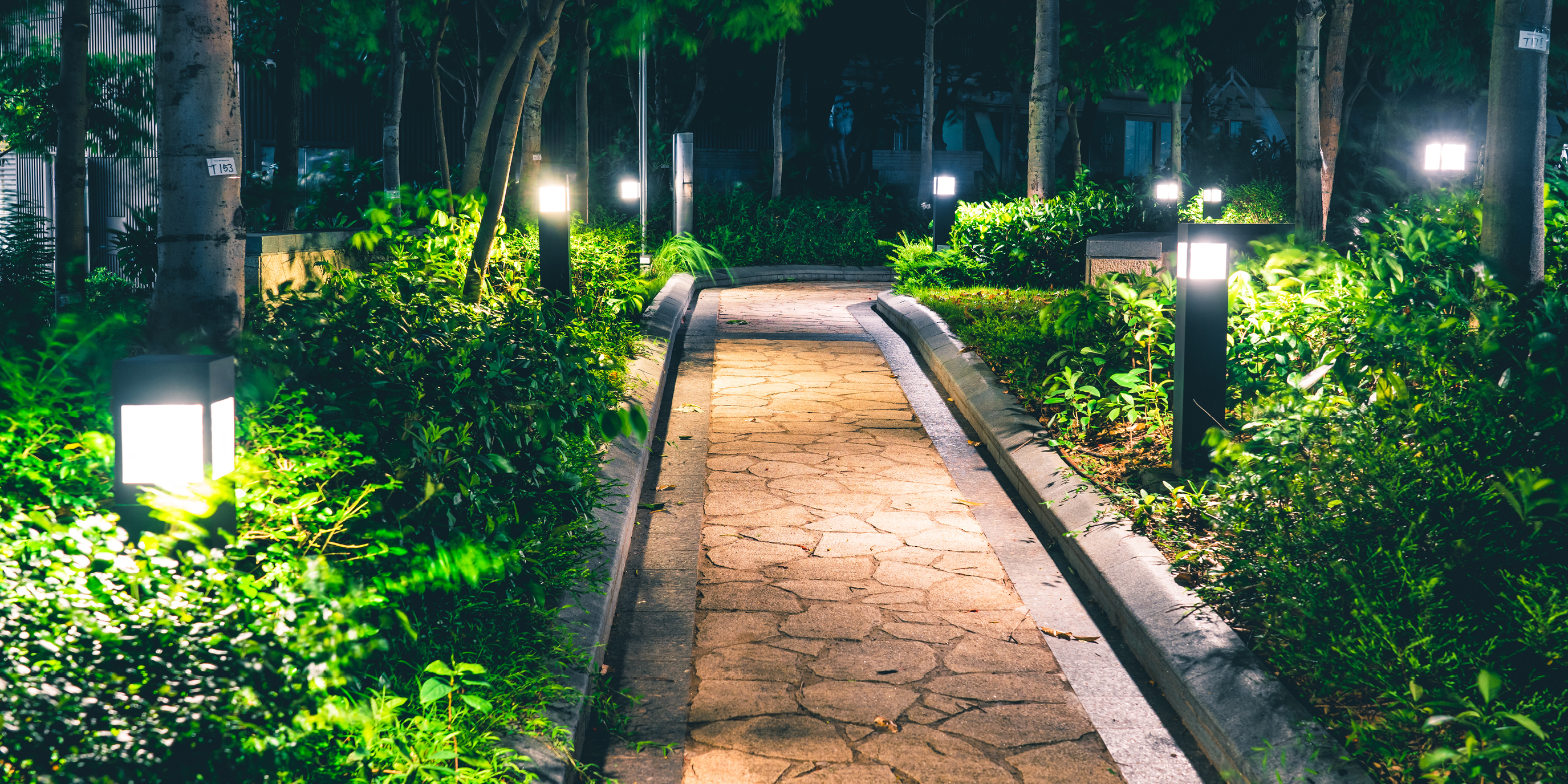 A garden path is illuminated by lights.