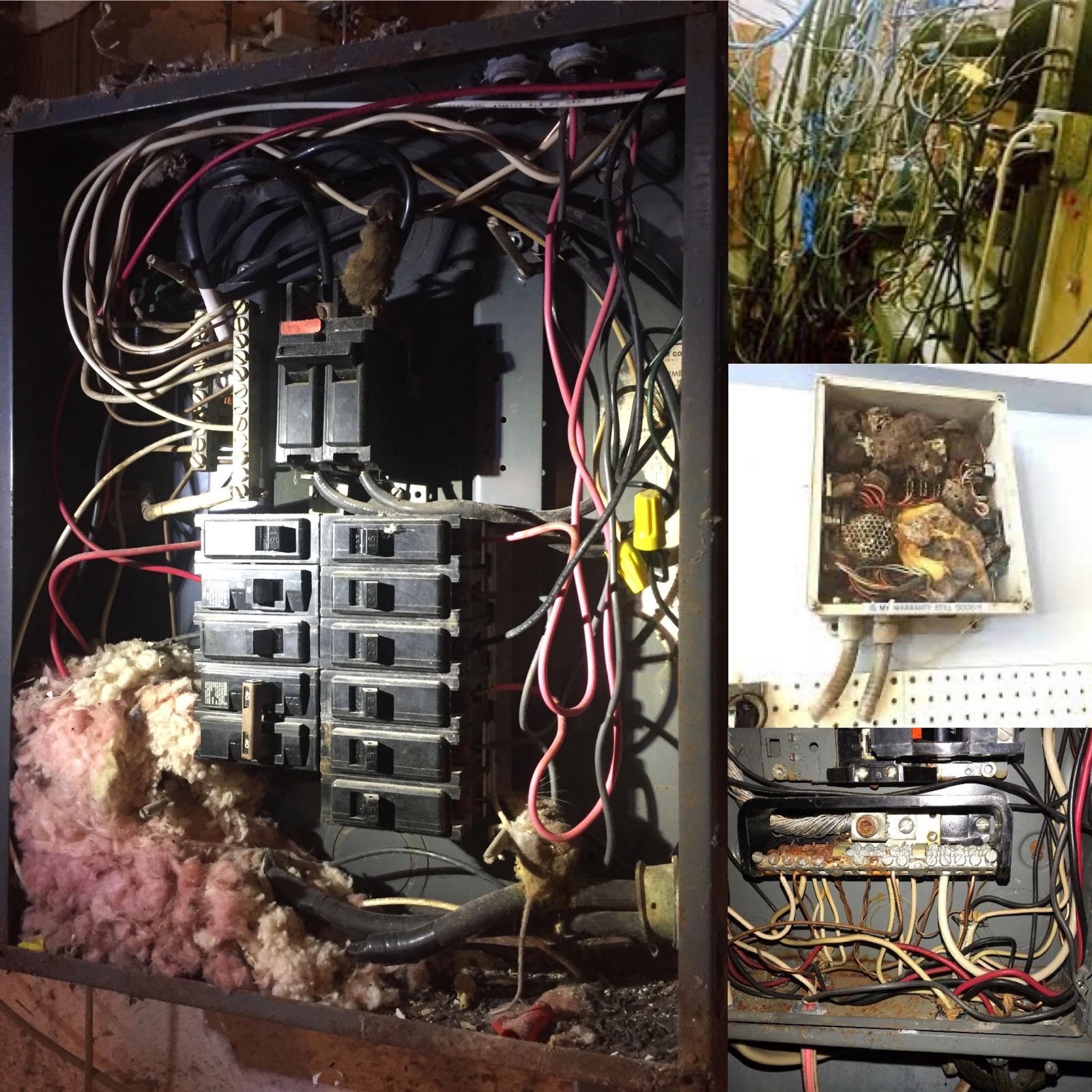 Problems in the Electrical Panel