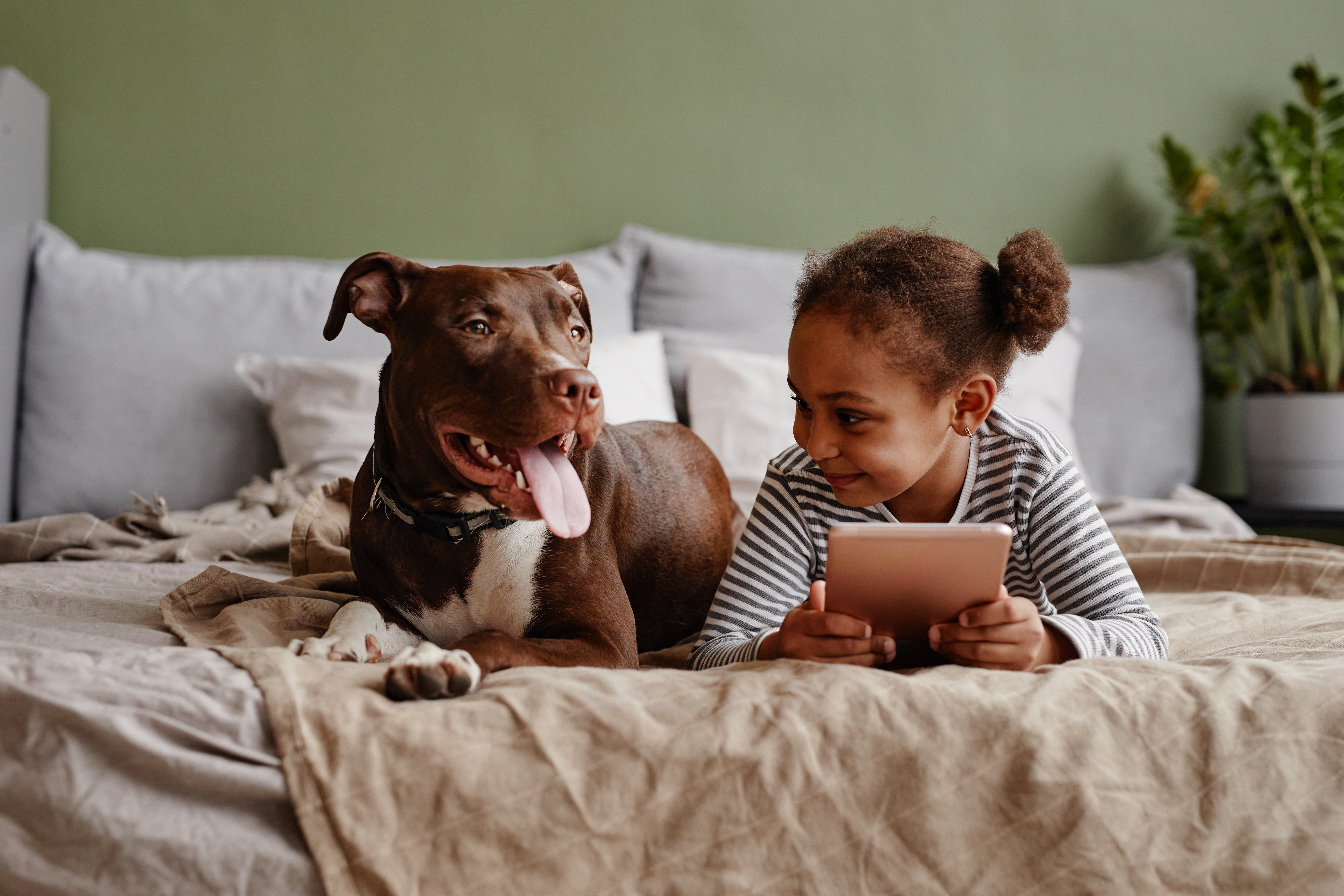 girl on a tablet laying in bed with a dog