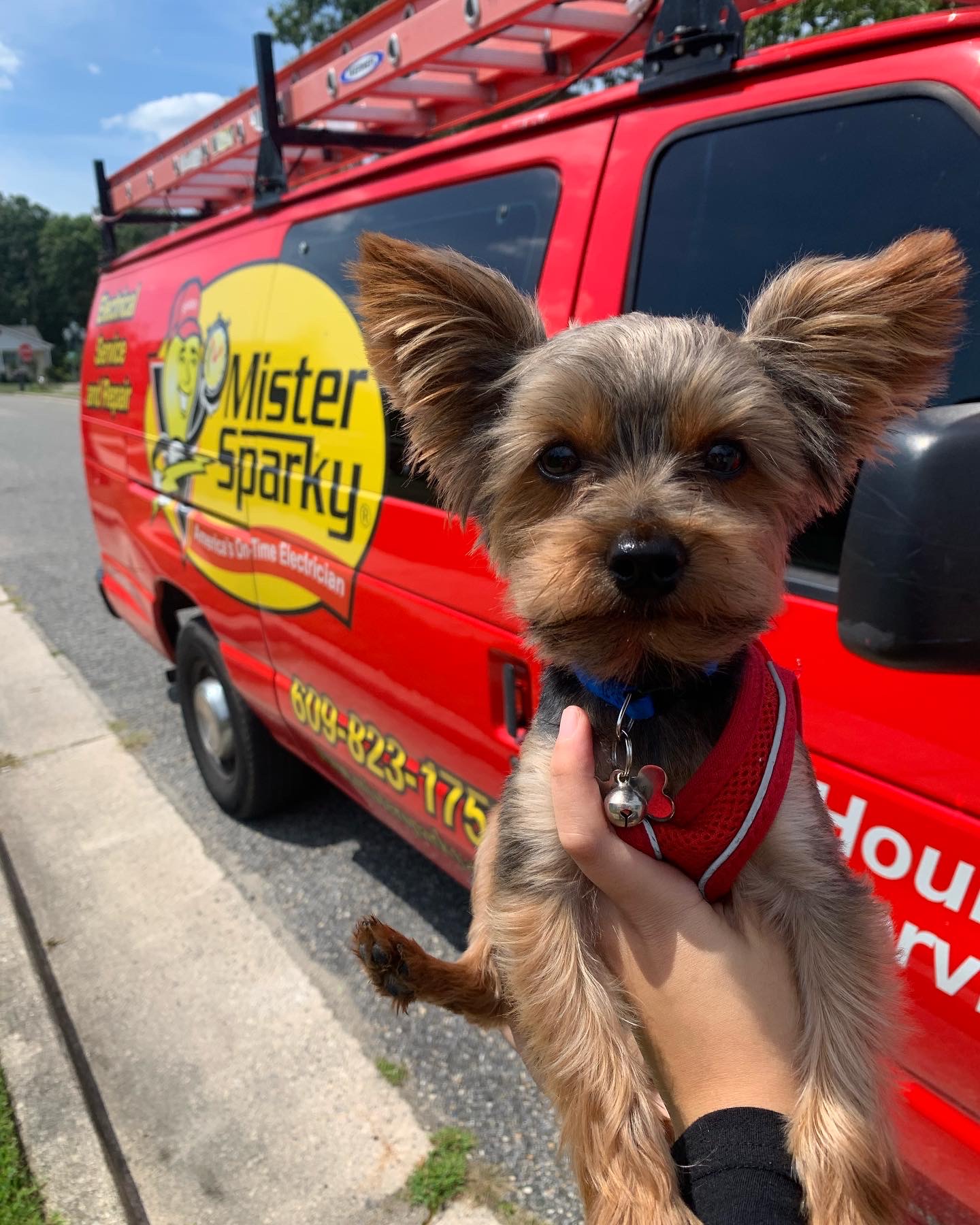 Mister Sparky Dog